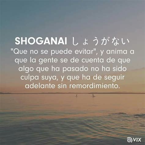 shoganai significado|Shoganai: Accepting Your Fate in Japan